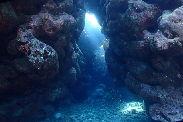 海底の複雑な地形