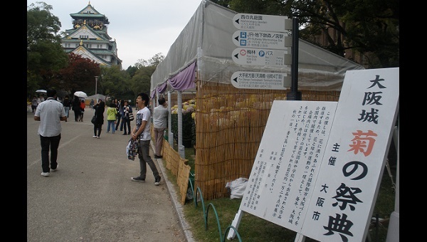 大阪城・菊の祭典