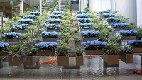肥後橋の交差点