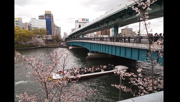 ２０１６年、桜の咲く大川