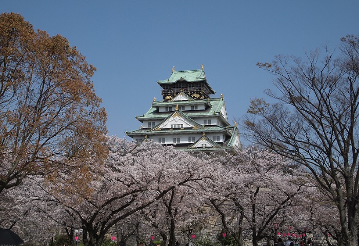 大阪城・西ノ丸庭園の桜