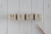 MECE