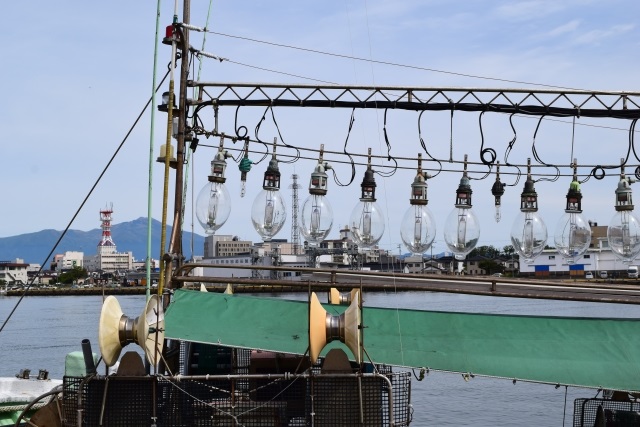 イカ釣り漁